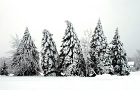 Torch Lake Township Winter